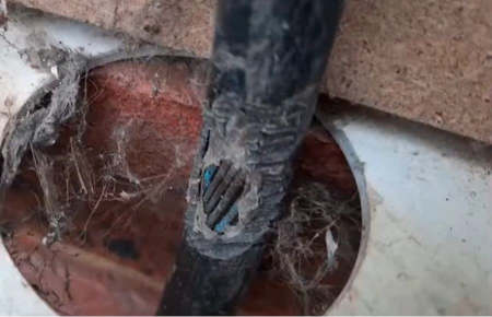 Rodent exclusion and sealing work on a Bend, Oregon property